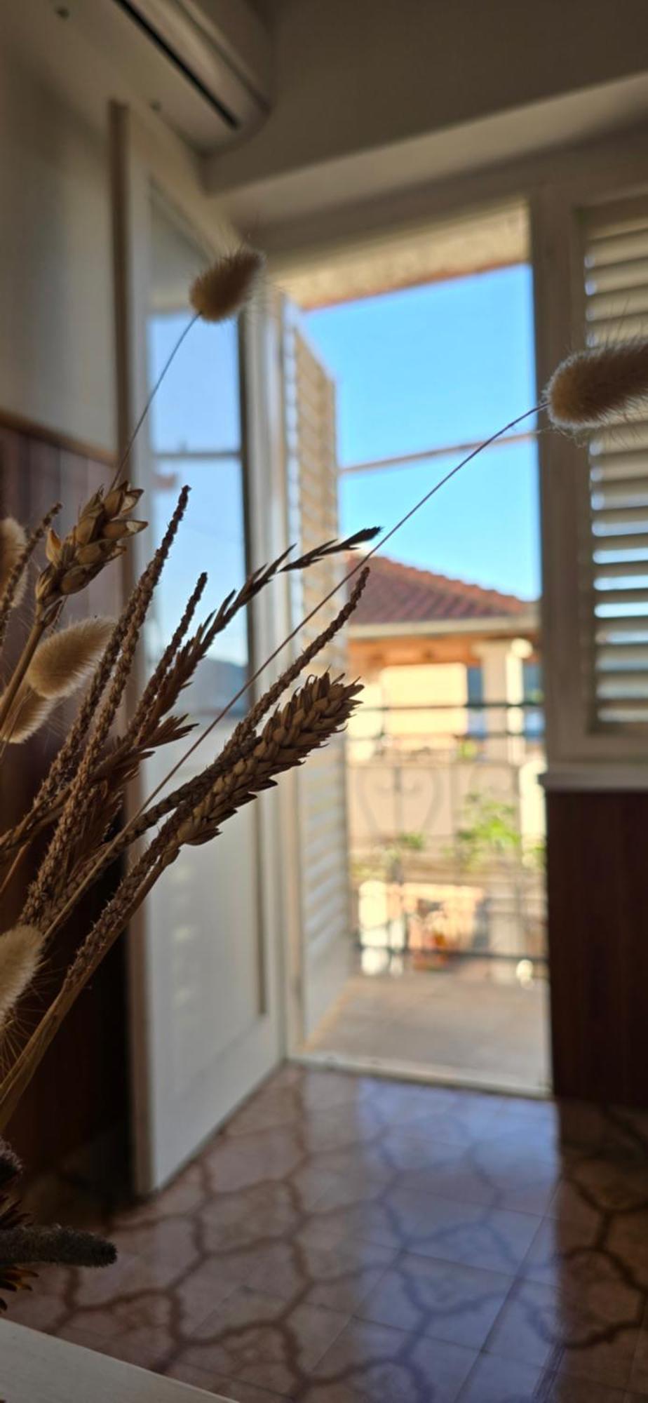 Apartman Andela 普莱克 外观 照片